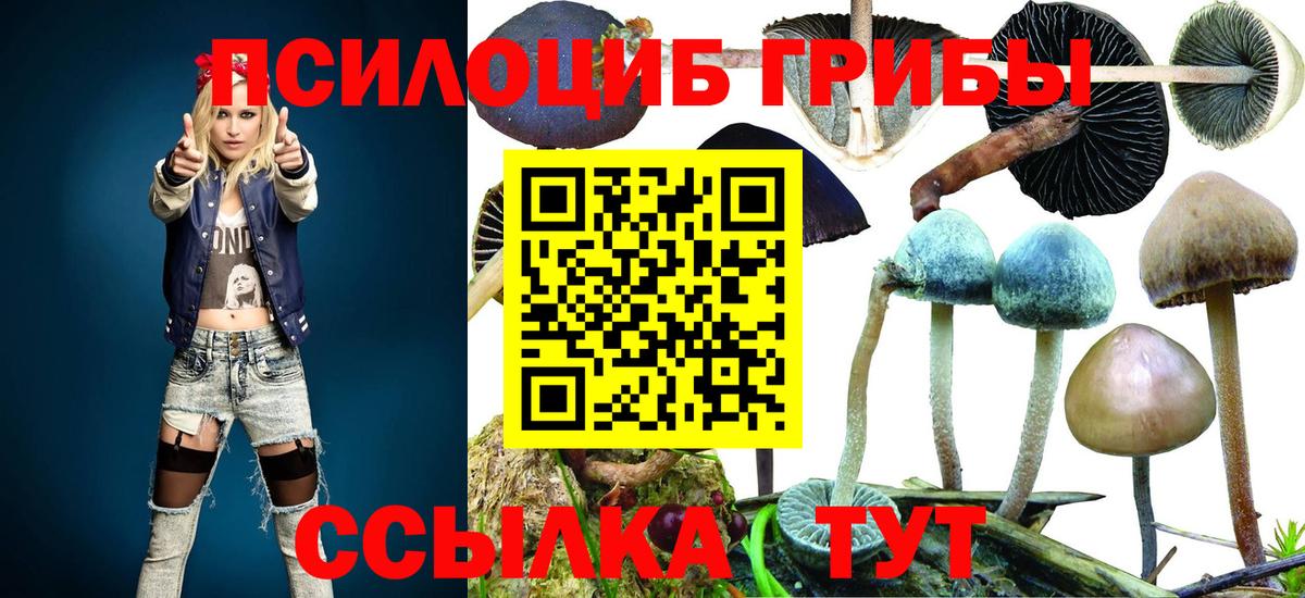 ГАШ Магнитогорск